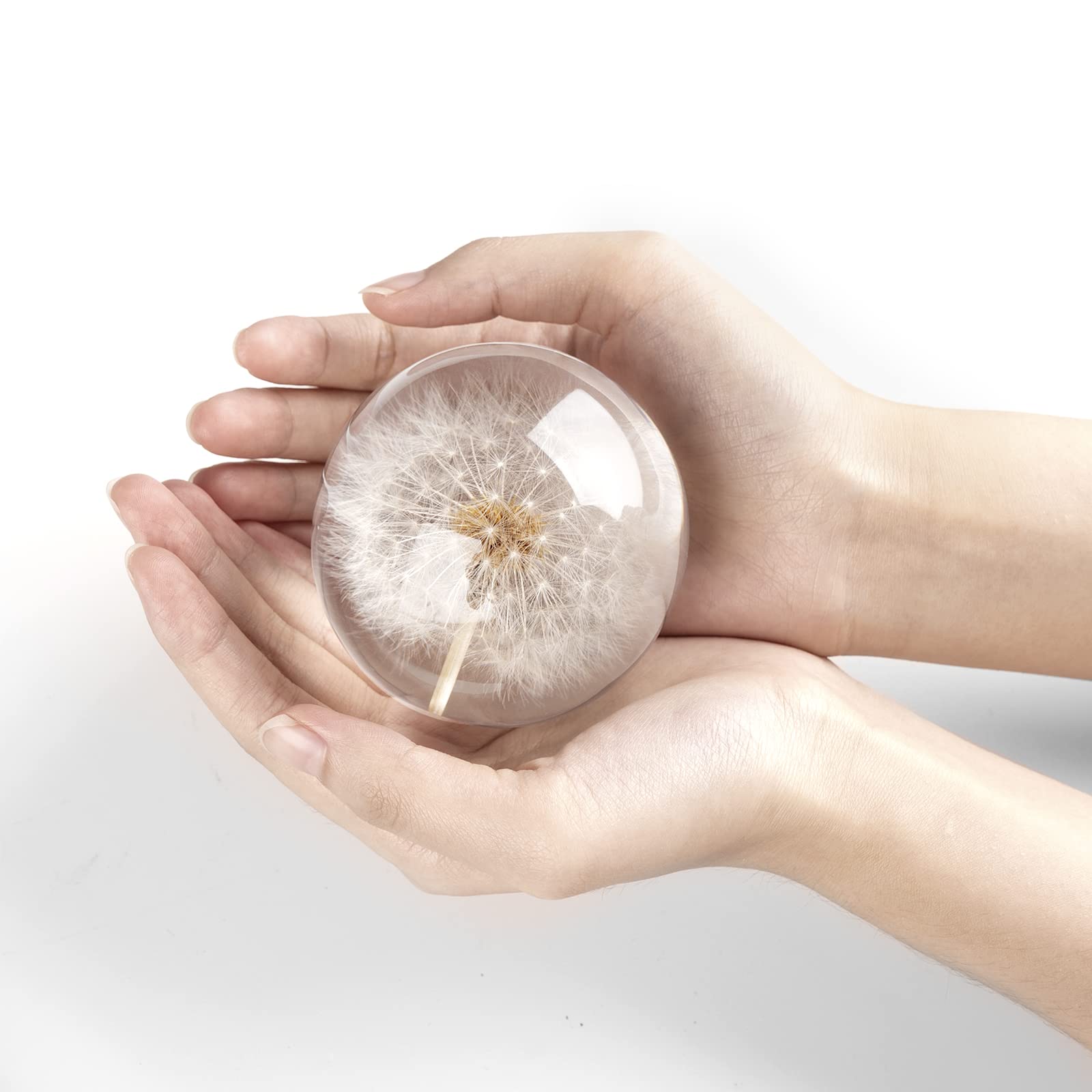 Cairiac Real Dandelion Paperweight, Dandelion In Resin Ball, Home Office Decor, Real Dandelion Specimen Ball, Resin Ball And Gif