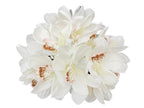Lebritamfa 12 Pcs High Quaulity Latex Real Touch Cymbidium Orchid Artificial Flower Bouquet For Wedding Holiday Bridal Bouquet H