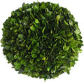 BOXWOOD WORLD Decorative Boxwood Balls for Bowls and Decorative Balls for Centerpiece Bowl Fillers Vase Fillers Home, Kitchen, L