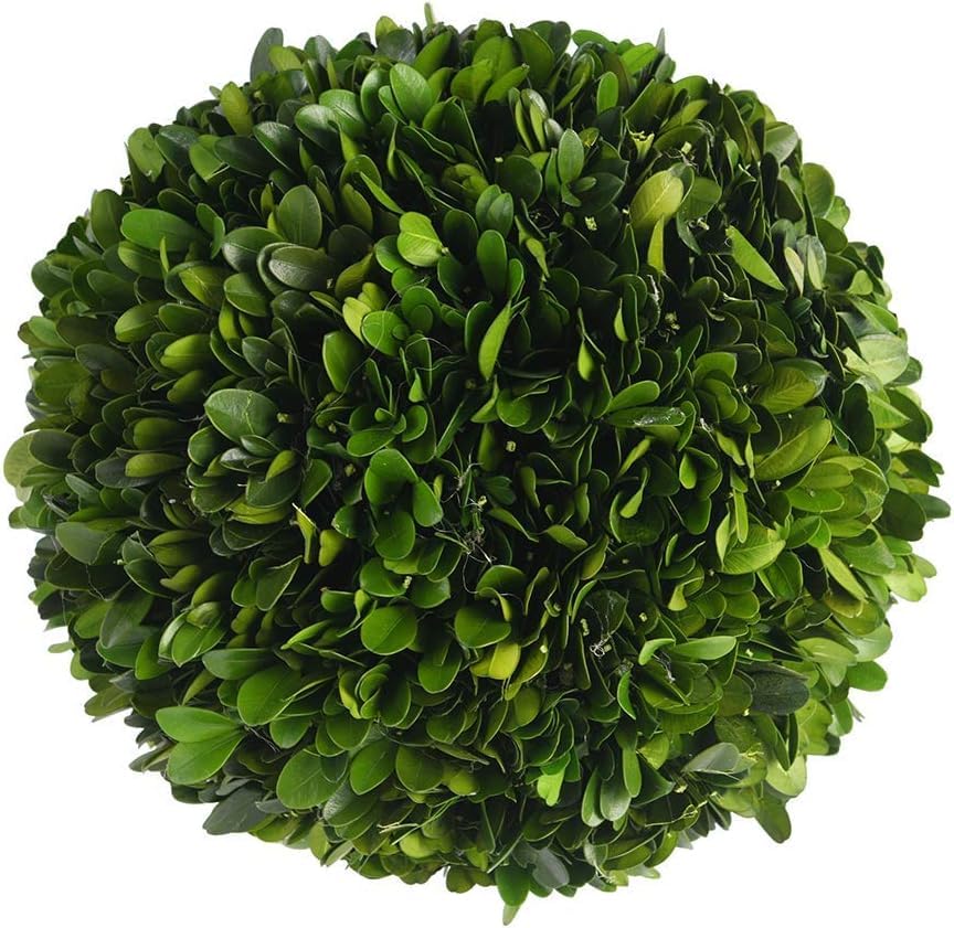 BOXWOOD WORLD Decorative Boxwood Balls for Bowls and Decorative Balls for Centerpiece Bowl Fillers Vase Fillers Home, Kitchen, L
