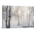 CANVAS ON DEMAND Ontario, Canada, Birch Trees in the Fog Canvas Wall Art Print by Susan Dykstra, Home Decor, Winter Artwork, 36 