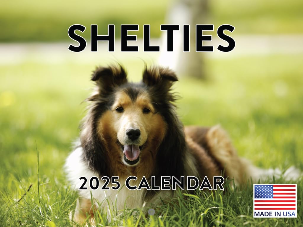 Sheltie Calendar 2025 Shetland Sheepdogs Monthly Wall Calender 12 Month | American Made In The Usa