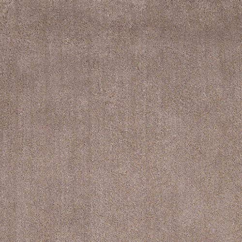 HomeRoots Decor 27-inch X 45-inch Polyester Beige Area Rug