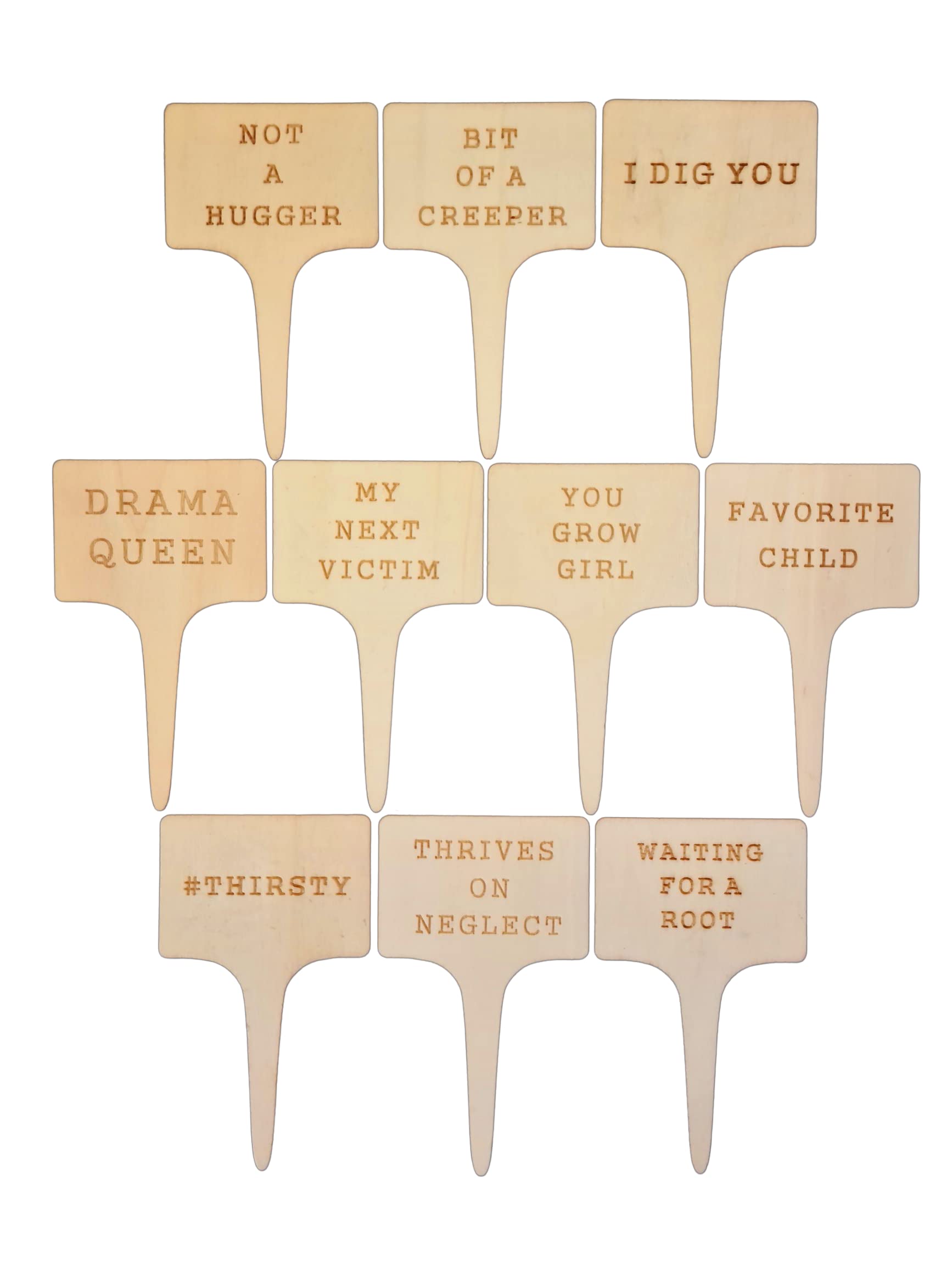 Sassy Stakes Funny Plant Markers For Garden Set Of 10 - Great Funny Plant Gifts For Plant Lovers - Funny Plant Labels For Pots -