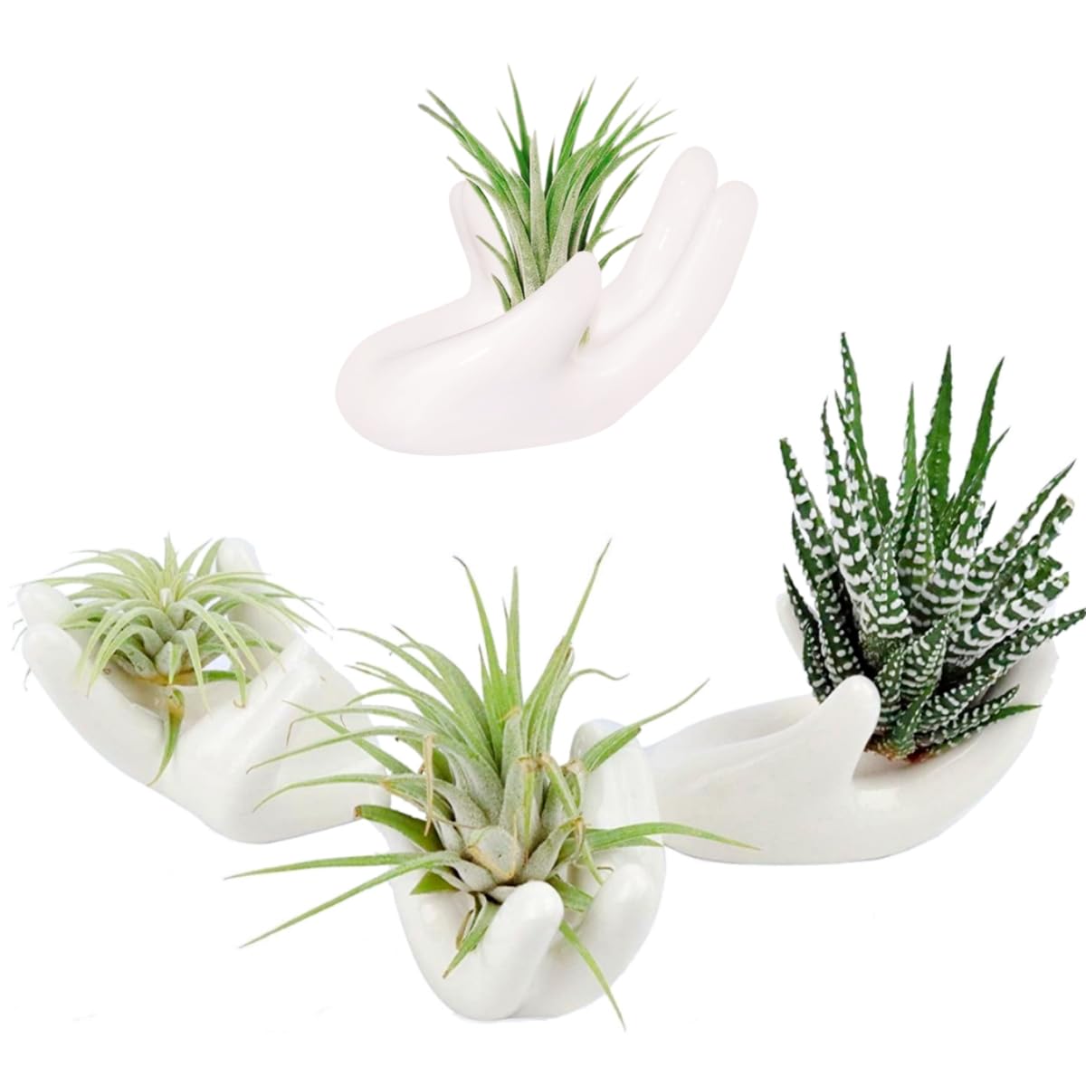 4 Pack Air Plant Holders Unique Ceramic Mini Airplants Stand Tillandsia Succulent Display Container Pot Cute Home Decor For Desk