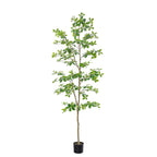 Bellacat Faux Black Olive Tree 7ft, Tall Faux Trees Indoor with Natural Trunk and Realistic Leaves. 7 Feet(84in) Artificial Tree