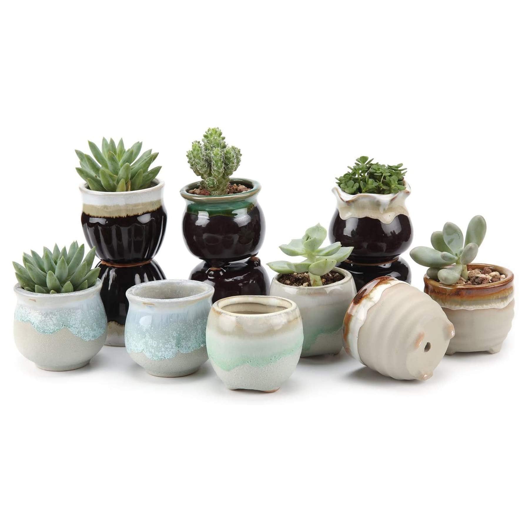 T4U Small Ceramic Succulent Pots With Drainage - Set Of 12, Mini Pots For Plants, Home And Office Decor, Plant Lover Gifts For W