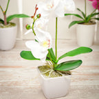 Restaurantware Faux Fiore White Orchid - White Pot - Faux Plants - 13.4'''' - 1ct Box