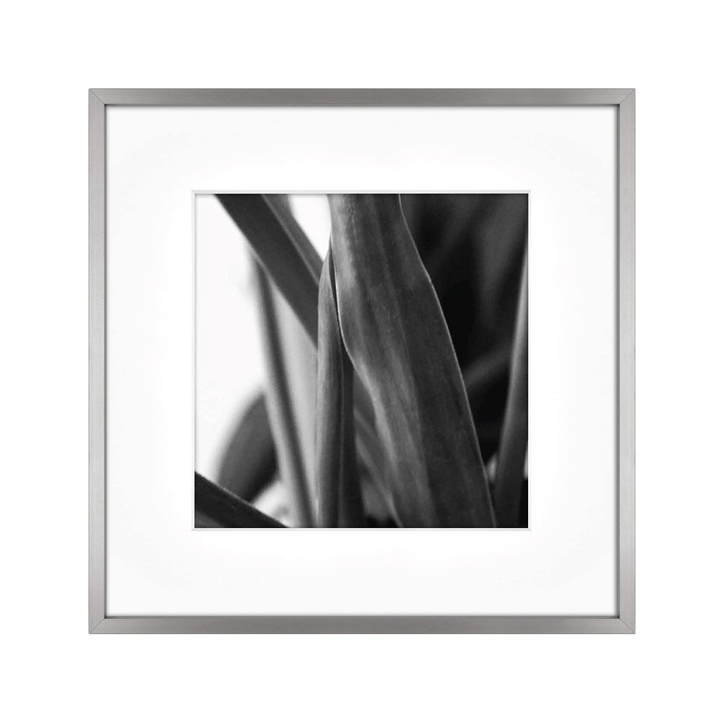 MCS Master & Co. Foundry Metal Gallery Wall Frame, Dark Silver, 12 x 12 in matted to 8 x 8 in
