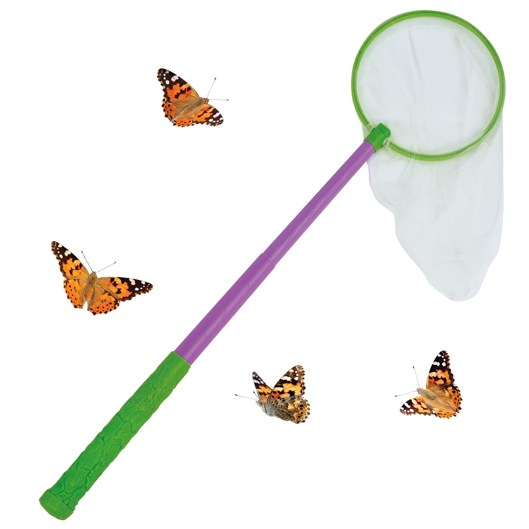 Insect Lore Telescoping Butterfly Extend A Net , Green