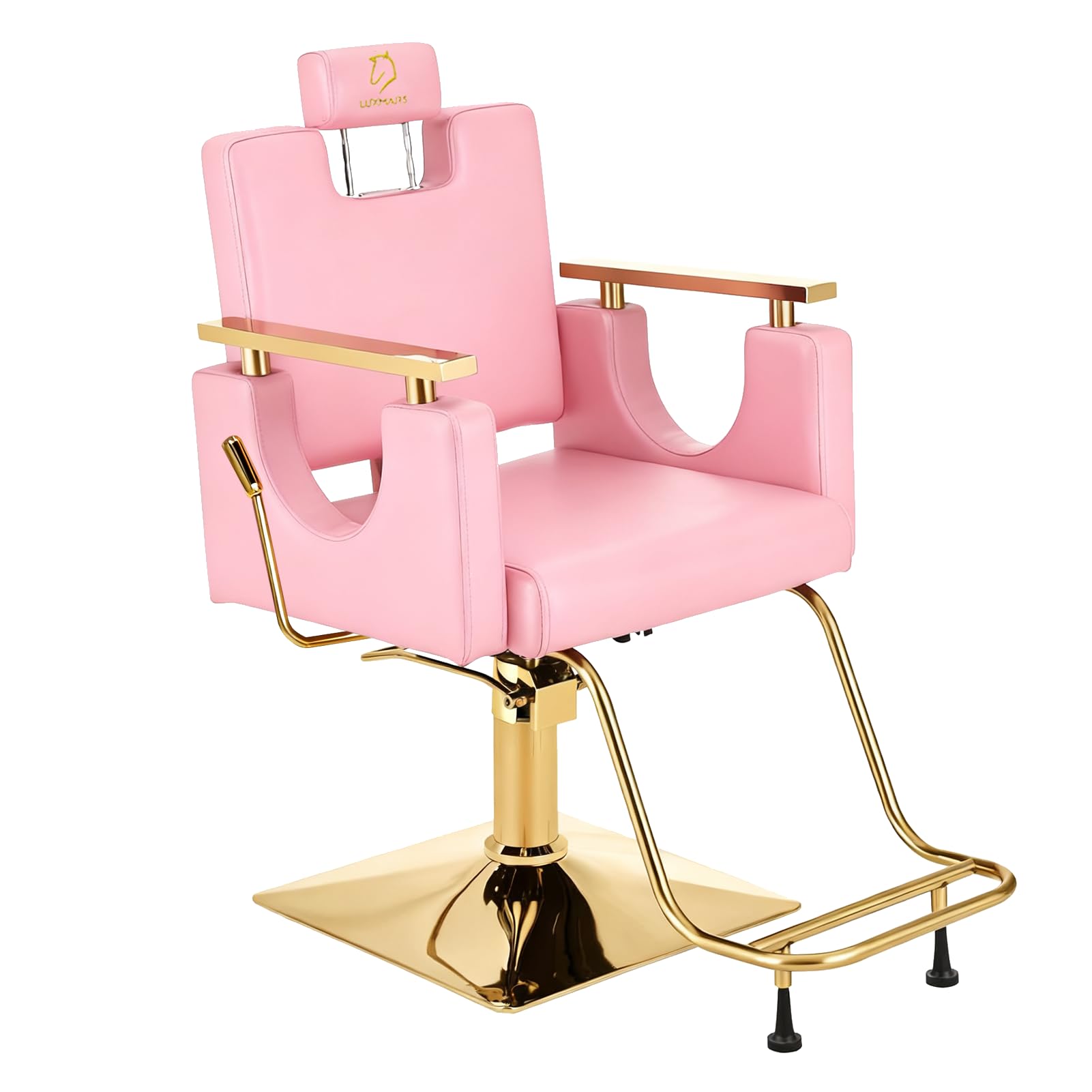 LUXMARS Heavy Duty Barber Chair, 360 Swivel Reclining Salon Chair for Hair Stylist, Height Adjustable Hydraulic Hairdressing Cha