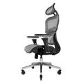 Nouhaus Ergo3D Ergonomic Office Chair Lumbar Support Mesh Office Chair With 4D Adjustable Armrest, Adjustable Headrest And Wheels, Mesh High Back Home Office Desk Chairs (Grey)