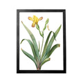 A3 Poster Frame,Paintings Frames with Plexiglass Front,Actual Fits 11 3/4x16 1/2 inch Photo,Print,Poster,A3 Certificate Frame,Po