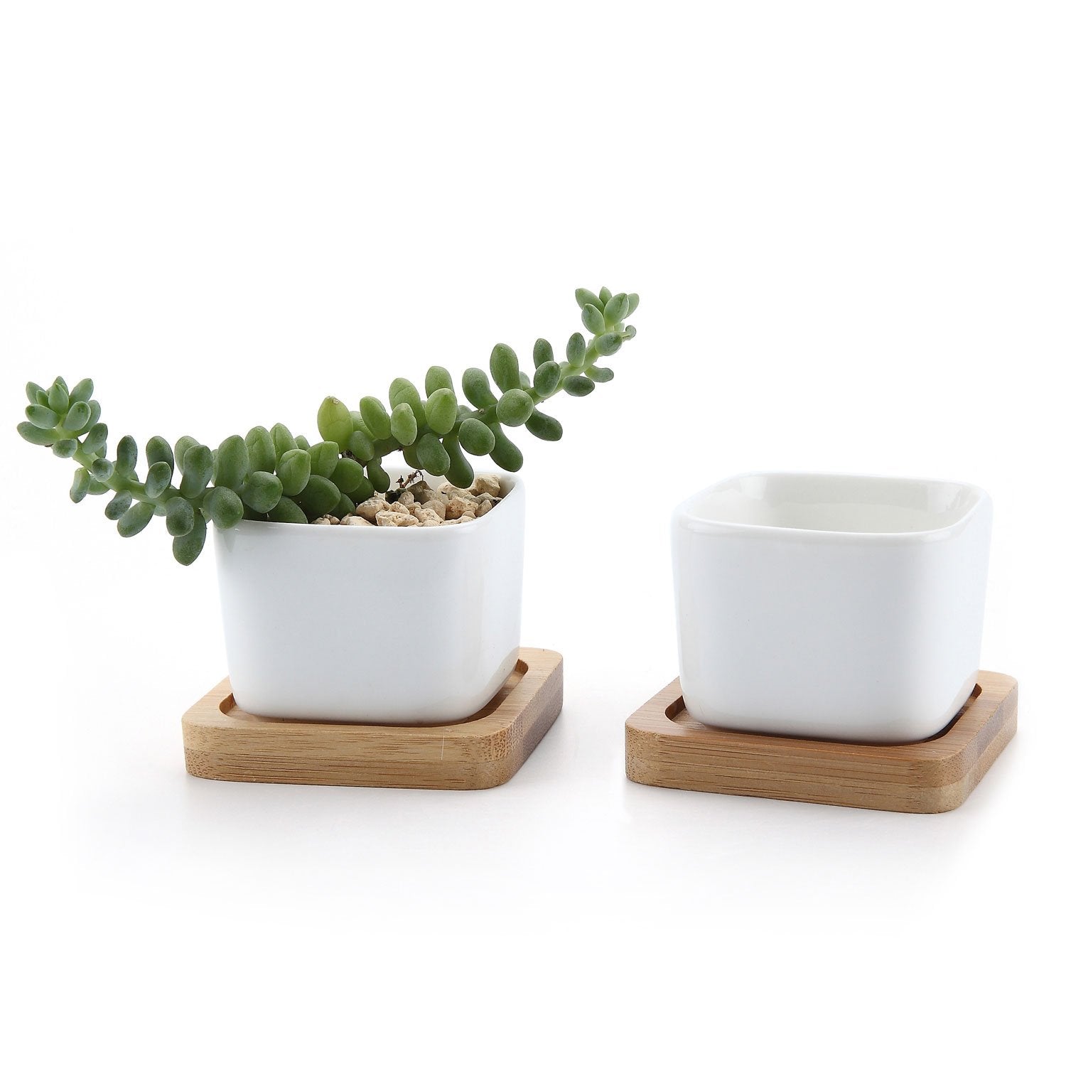 T4U 2 Inch Small White Succulent Planter Pots With Bamboo Tray Square Set Of 2, Ceramic Succulent Air Plant Flower Pots Cactus F