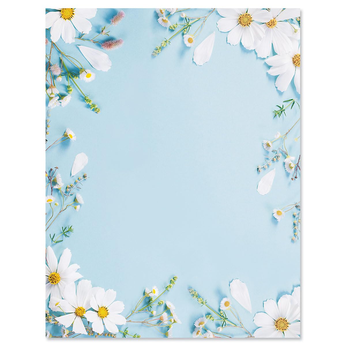 Current Shasta Daisy Floral Letter Paper - Spring Stationery Papers With Decorative Shasta Daisy Border, Printable Holiday, Wedd