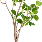 3Pcs Artificial Branches Plants Greenery Stems Faux Branches For Vase Plant Artificial Eucalytus Branches Fake Ficus Twig (45''/