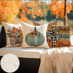Rabusofa Fall Outdoor Pillows Waterproof 18X18 Inch Set Of 4 Thanksgiving Decorations For Autumn Home Sweet Home Thankful Gratef