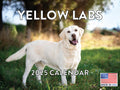 Yellow Lab Calendar 2025 Labrador Monthly Wall Calender 12 Month | American Made In The Usa