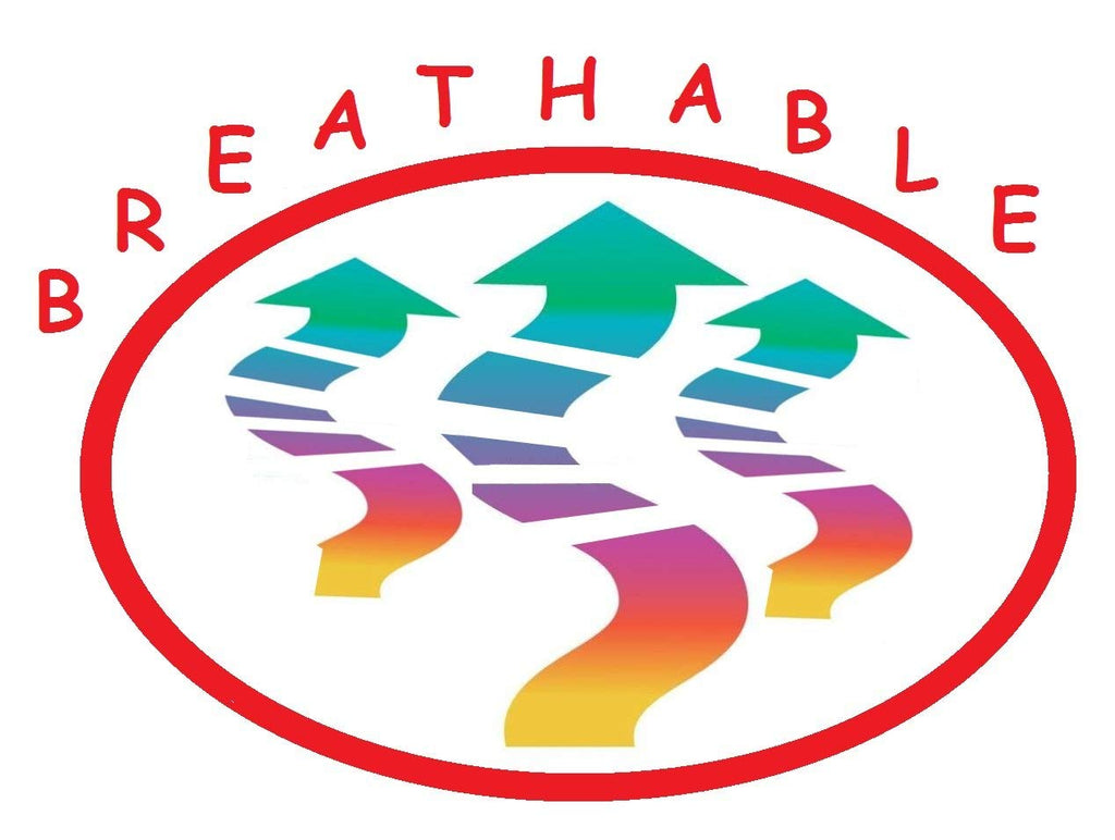 Luxurious Pillowcases On Amazon! Elegant Comfort 1500 Thread Count Wrinkle,Fade And Stain Resistant 2-Piece Pillowcases, Standar