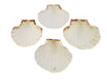 Set of 4 Large White Baking Scallop (3.5-4) Restaurant Quality Real Seashells Beach Wedding Coastal Crafts and Decor