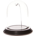 Plymor 3 x 4 Watch Glass Display Dome Cloche (Black Wood Veneer Base & Silver Wire)
