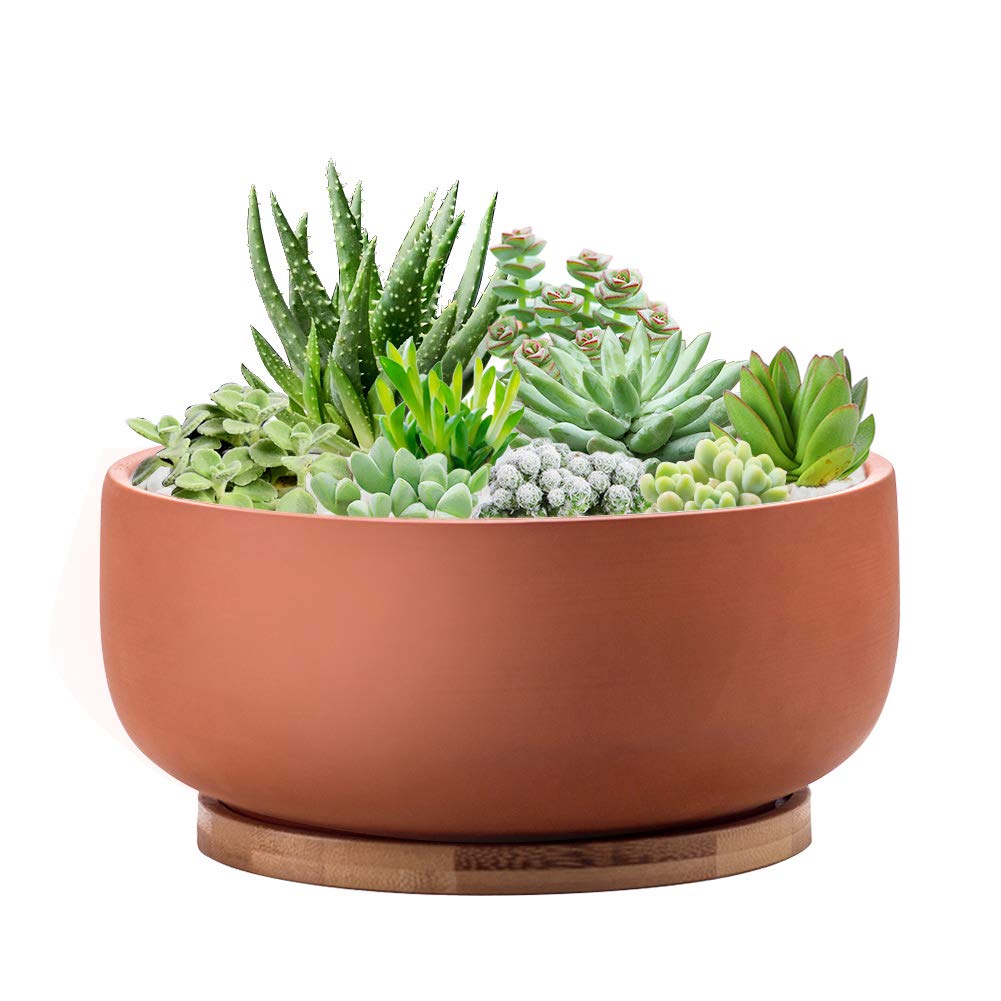 Epfamily Terracotta Shallow Succulent Planter, 8 Inch Planter Pot With Bamboo Tray, Clay Flower Pot Indoor And Outdoor Planter W