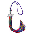 Endea Graduation Single Color Tassel with Silver Date Drop (Rainbow, 2025)