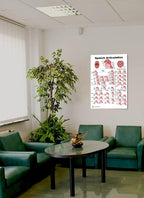 Blue Tree Publishing Speech Articulation Qr Codes For Two Animations Anatomy Poster 24X36Inch, Speech Language Pathology - Vowel