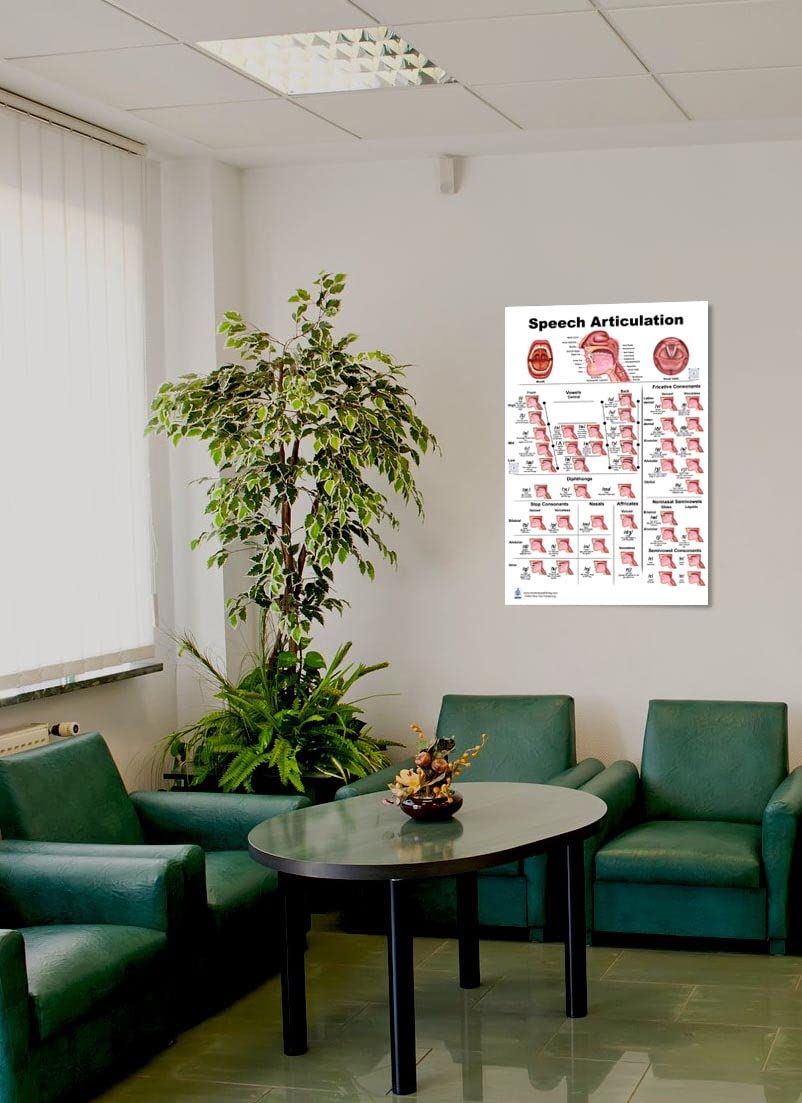Blue Tree Publishing Speech Articulation Qr Codes For Two Animations Anatomy Poster 24X36Inch, Speech Language Pathology - Vowel
