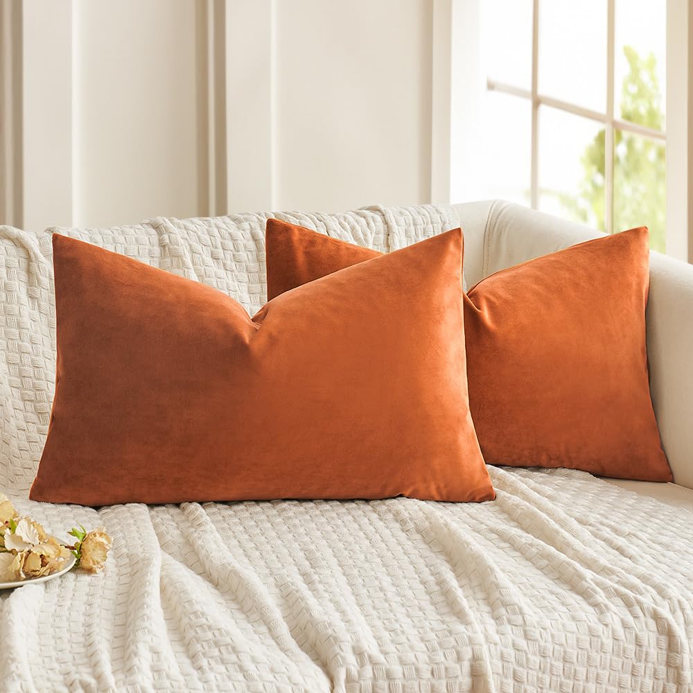 Miulee Pack Of 2 Velvet Soft Solid Autumn Decorative Square Throw Pillow Covers Set Fall Cushion Cases For Sofa Bedroom Car 12X2