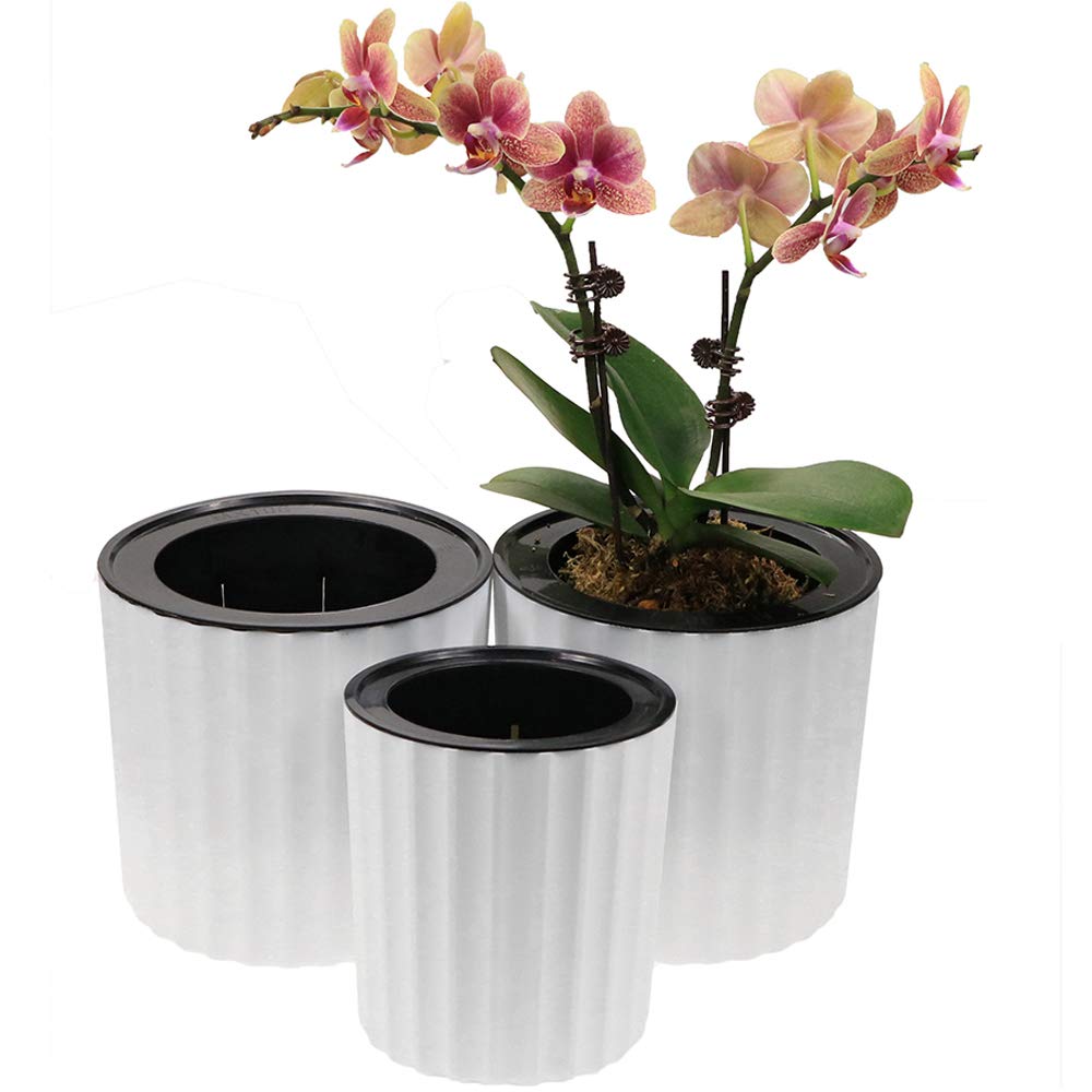 Muzhi Orchid Pot With Net And Holes, Round Self Watering Planter Pot For Indoor Plants And Flowers 3 Sets White