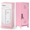 Svartur Mini Locker with Lock & Keys, Stickers, Metal Small Locker for Desktop, Girls Lockbox Desktop Storage Organizer, Money S