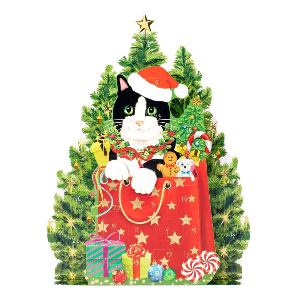 Caspari Christmas Cat Advent Calendar - 1 Each