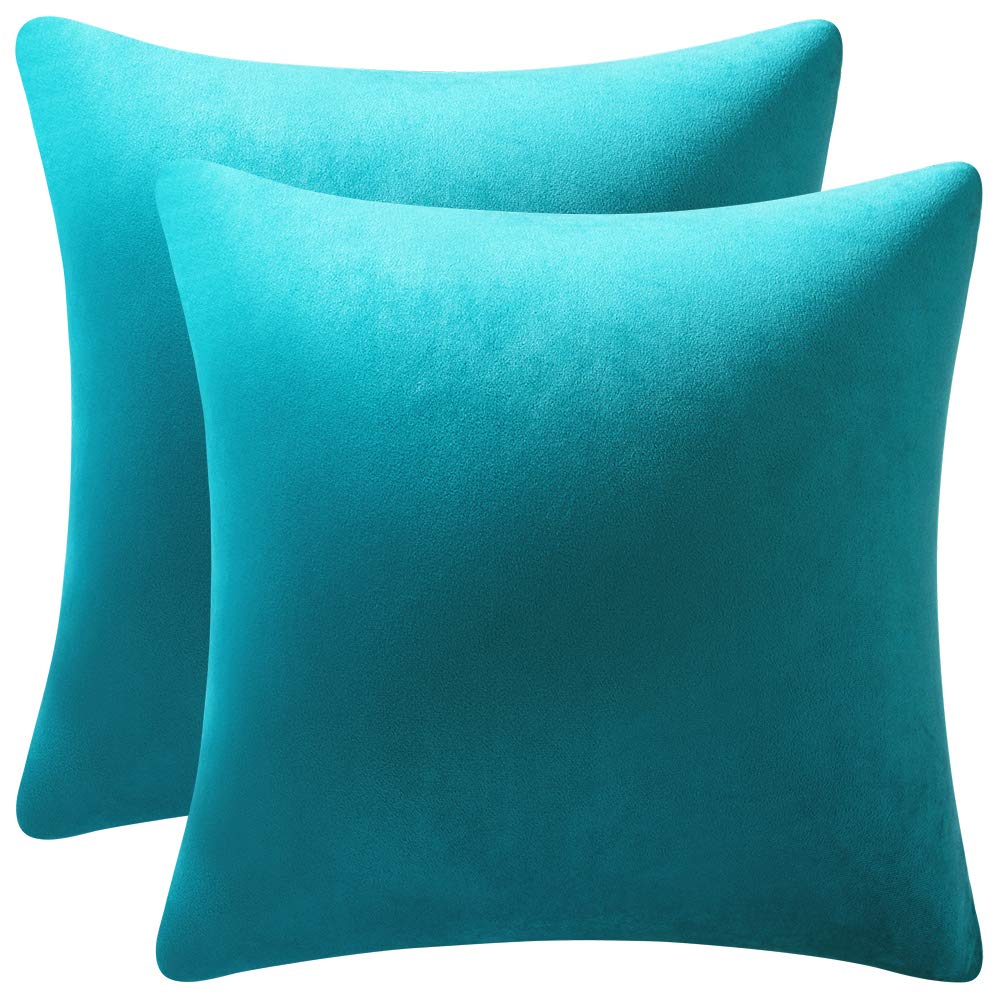 Dezene Throw Pillow Cases 24X24 Turquoise: 2 Pack Cozy Soft Velvet Square Decorative Pillow Covers For Farmhouse Home Decor
