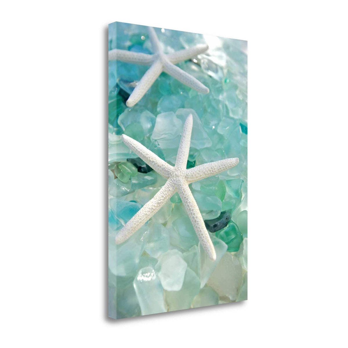 7' Two White Starfish and Seaglass Giclee Wrap Canvas Wall Art
