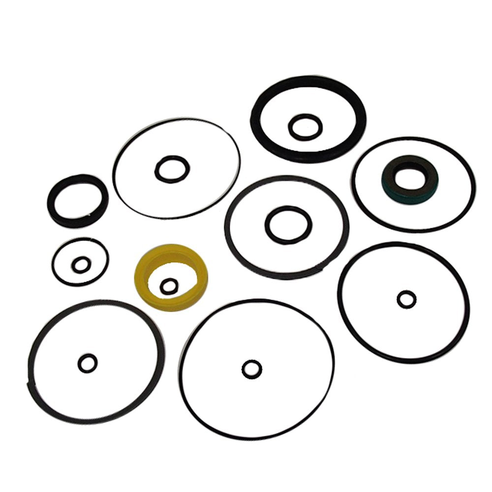 Raparts 830860M92 Cylinder Seal Kit Fits Massey Ferguson Tractor 50 150 175 200 +