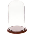 Plymor 5.5 x 10 Glass Display Dome Cloche (Walnut Veneer Base)