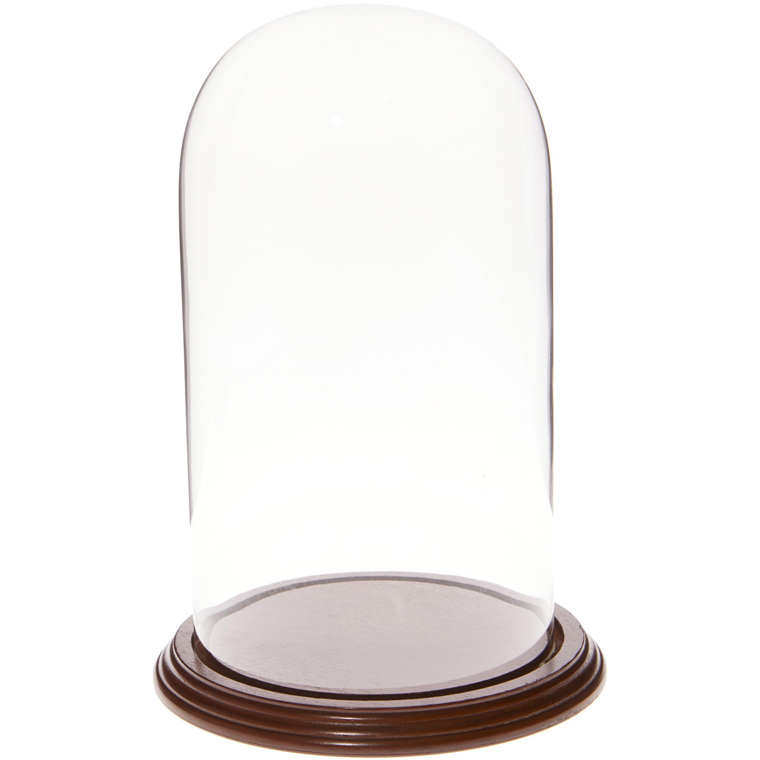 Plymor 5.5 x 10 Glass Display Dome Cloche (Walnut Veneer Base)