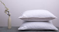 Arcticnorthdown Goose Down Feather Bed Pillows For Sleeping Hotel Collection Queen Pair Pillows Stripe White Queen Set Of 2 Pill