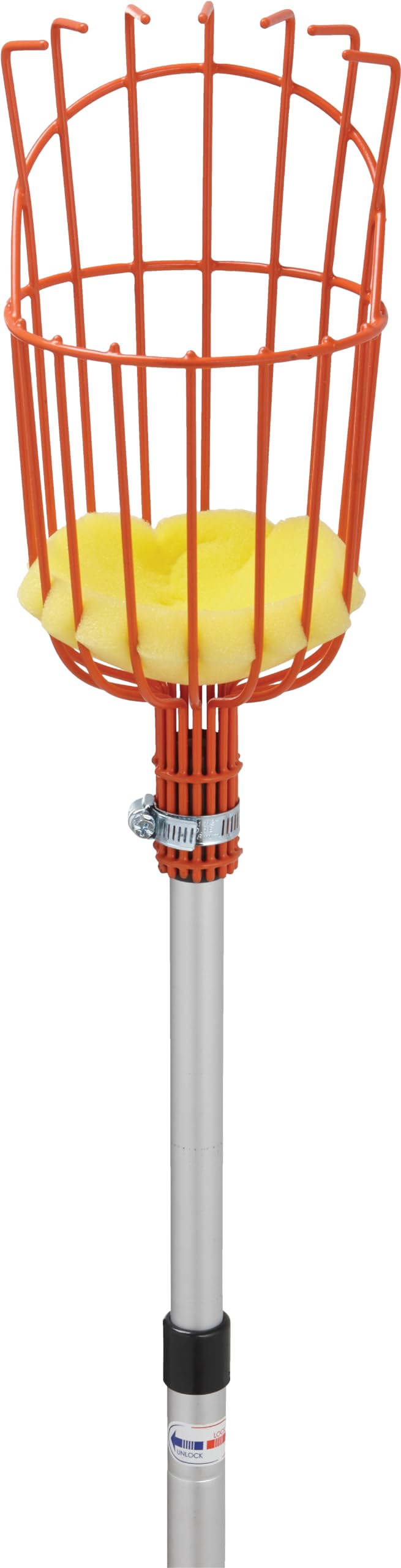 Teal Turtle Professional Apple Fruit Picker (Basket With Telescopic Handle, 1, Pack)