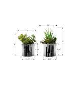 Monarch Specialties I 9550 Artificial Plant, 7' Tall, Succulent, Indoor, Set of 2, Decorative, Green Plants, Chrome Pots