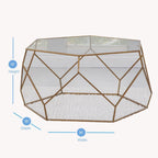 Steve Silver Roxy Hexagonal Cocktail Table with Clear Glass and Gold RX100CTBL