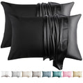 Wlosj 100% Silk Pillow Cases 2 Pack Standard Size Mulberry Silk Pillowcase For Hair And Skin Set Of 2 Highest Grade 6A Silk Soft