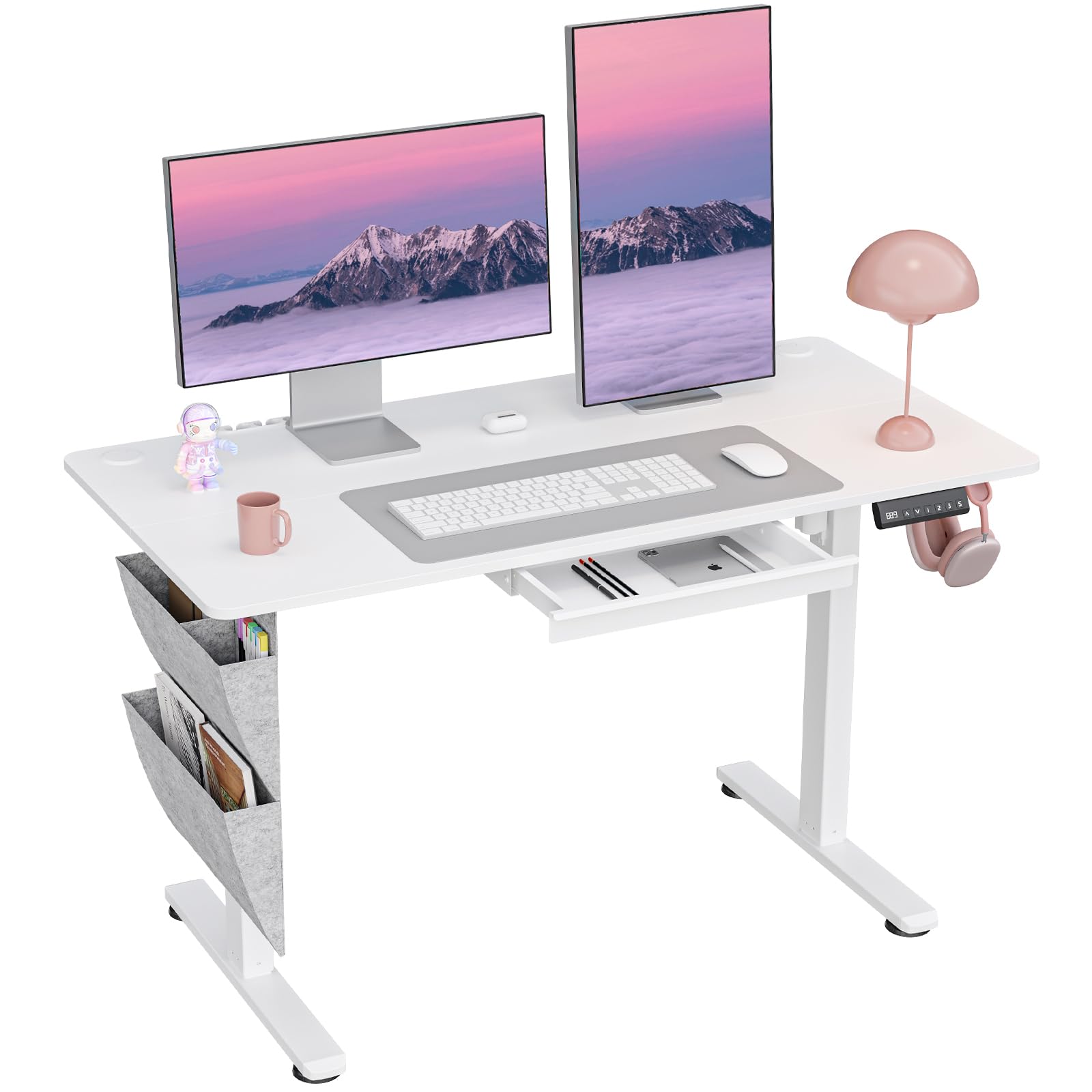 Dsnape Electric Standing Desk With Drawers,55X24 Inch Electric Desk Adjustable Height With Side Storage,Sit Stand Desk For Home