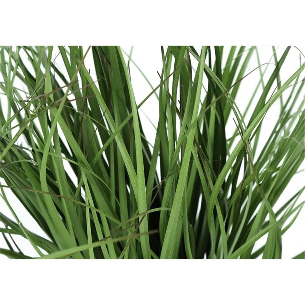 Monarch Specialties I 9575 Artificial Plant, 23' Tall, Grass, Indoor, Faux, Fake, Table, Greenery, Potted, Real Touch, Decorative, Green Grass, Black Pot
