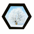 alblinsy Hexagon Shaped Photo Frame Wooden Wall Hanging Picture Frames for Home Office Wall Decor, Simplicity Wall Gallery Artif