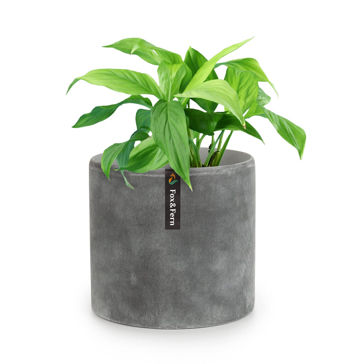 Fox & Fern Flower Pot, 8 Inch Plant Pots Indoor, Planters For Indoor Plants, 8 Inch Pots For Plants Indoor - Fits Mid Century Mo