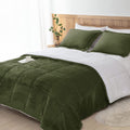 Seward Park Olive Green Sherpa Comforter Set Twin Xl Size, All Season Soft Warm Fleece Blanket, Winter College Dorm Bedding Sets