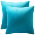 Dezene Throw Pillow Cases 22X22 Turquoise: 2 Pack Cozy Soft Velvet Square Decorative Pillow Covers For Farmhouse Home Decor