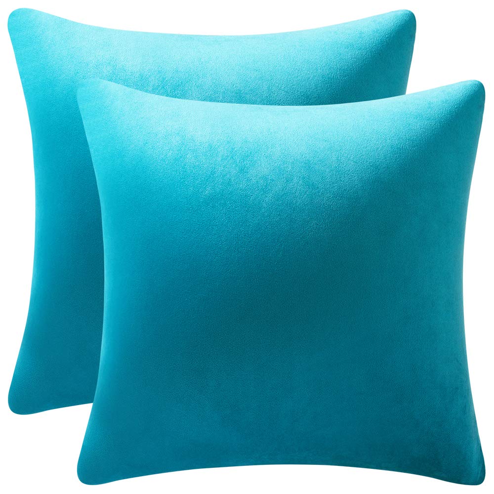 Dezene Throw Pillow Cases 22X22 Turquoise: 2 Pack Cozy Soft Velvet Square Decorative Pillow Covers For Farmhouse Home Decor